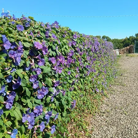 Casa Asfodeli - In Campagna Con Piscina